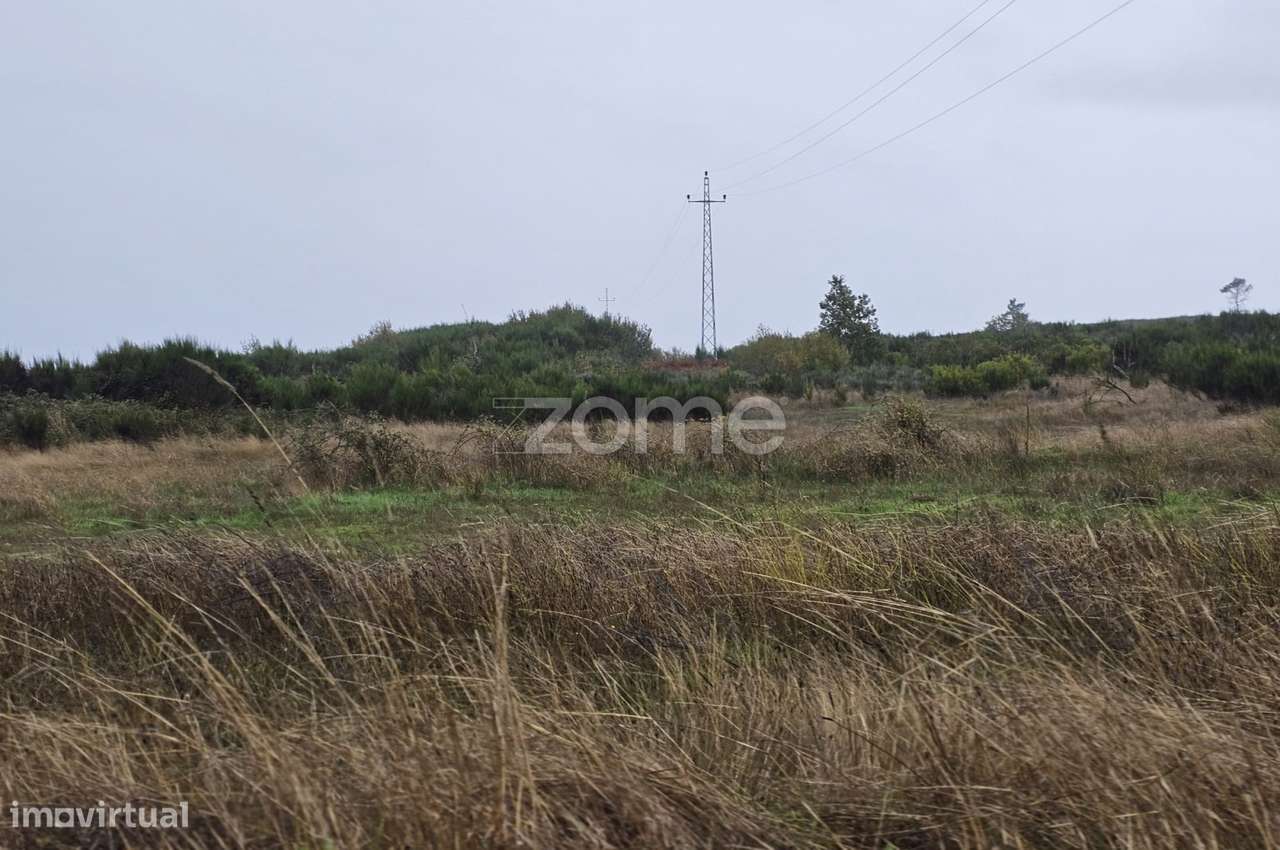 Terreno, 14 150 m², Vila Chã - Grande imagem: 3/15