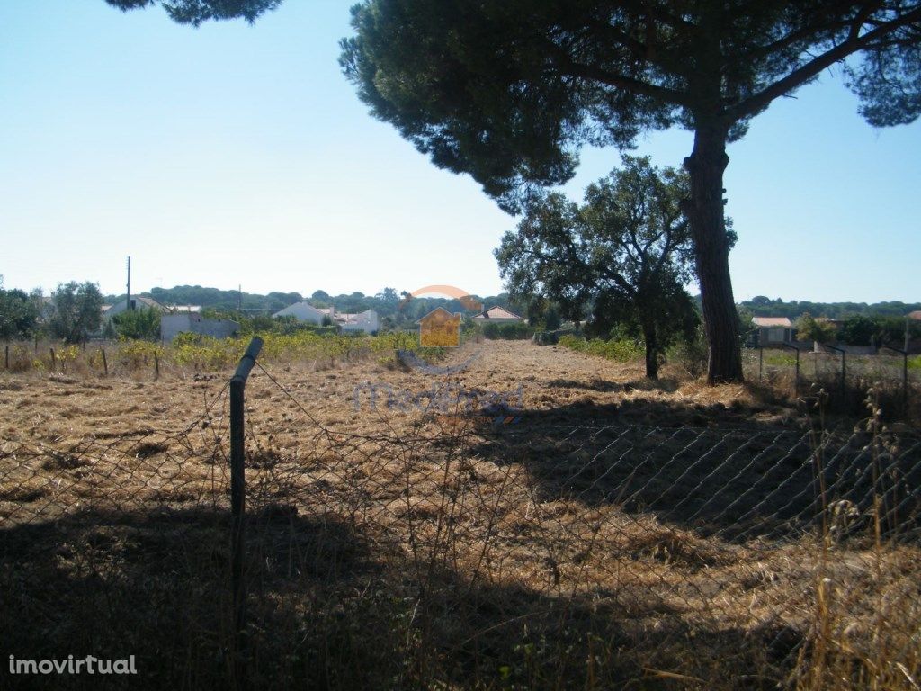 Ref: MJL3235 - Terreno rústico em Foros da Charneca