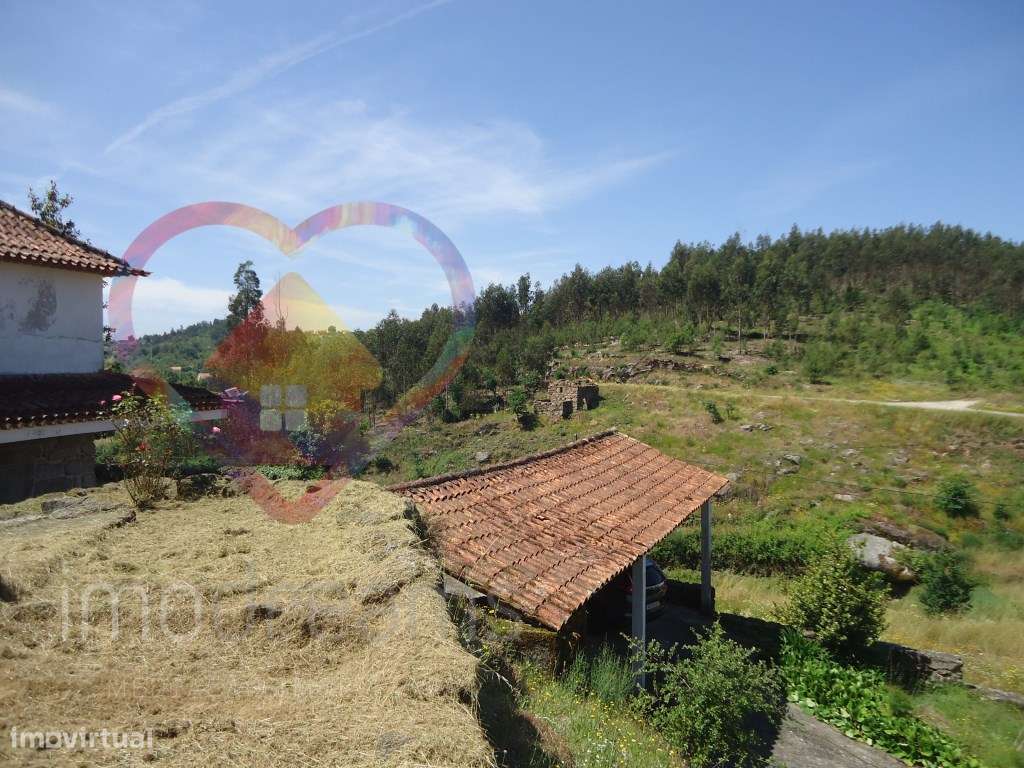Quinta T6 em Santa Comba Dão - Viseu-58