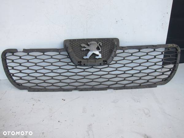 GRILL ATRAPA PEUGEOT BOXER - 1