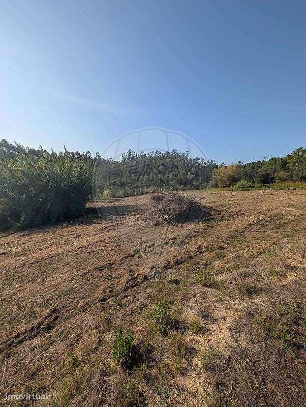 Terreno  para venda-6