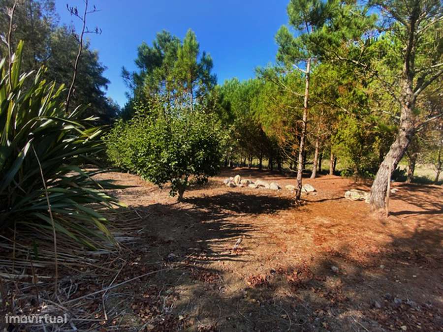 Moradia T5 grande propriedade, pleno campo, arredores Caldas da Rainha-14