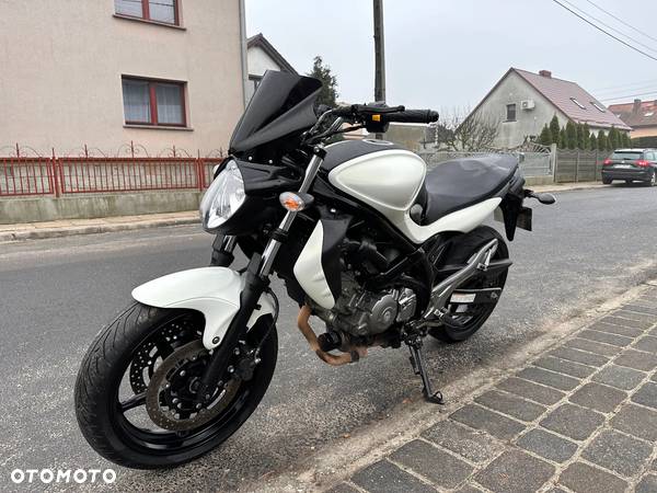 Suzuki Gladius - 3