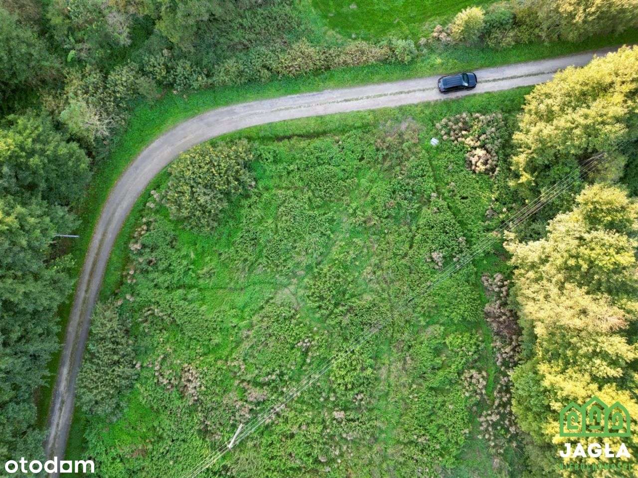 Zielonczyn 2000m2 media, wydane W.Z - Pełny obrazek: 4/8