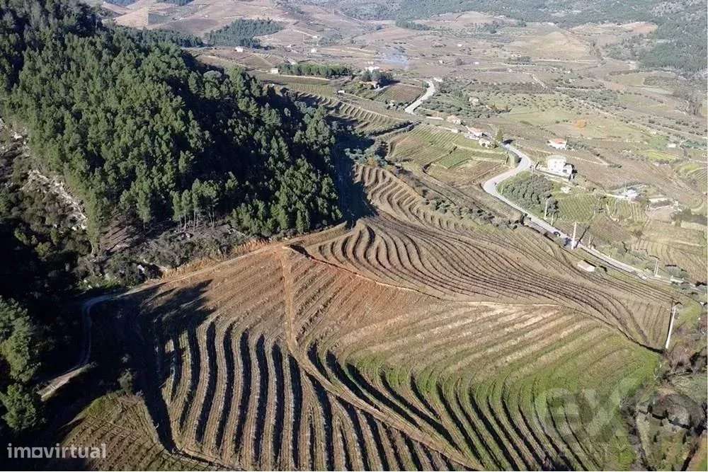 Propriedade Rústica em São Mamede de Ribatua - Grande imagem: 4/7
