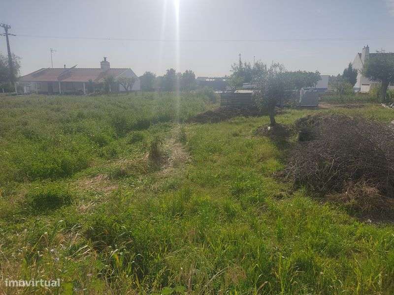 Terreno rústico com 3250 m2 - Grande imagem: 4/5