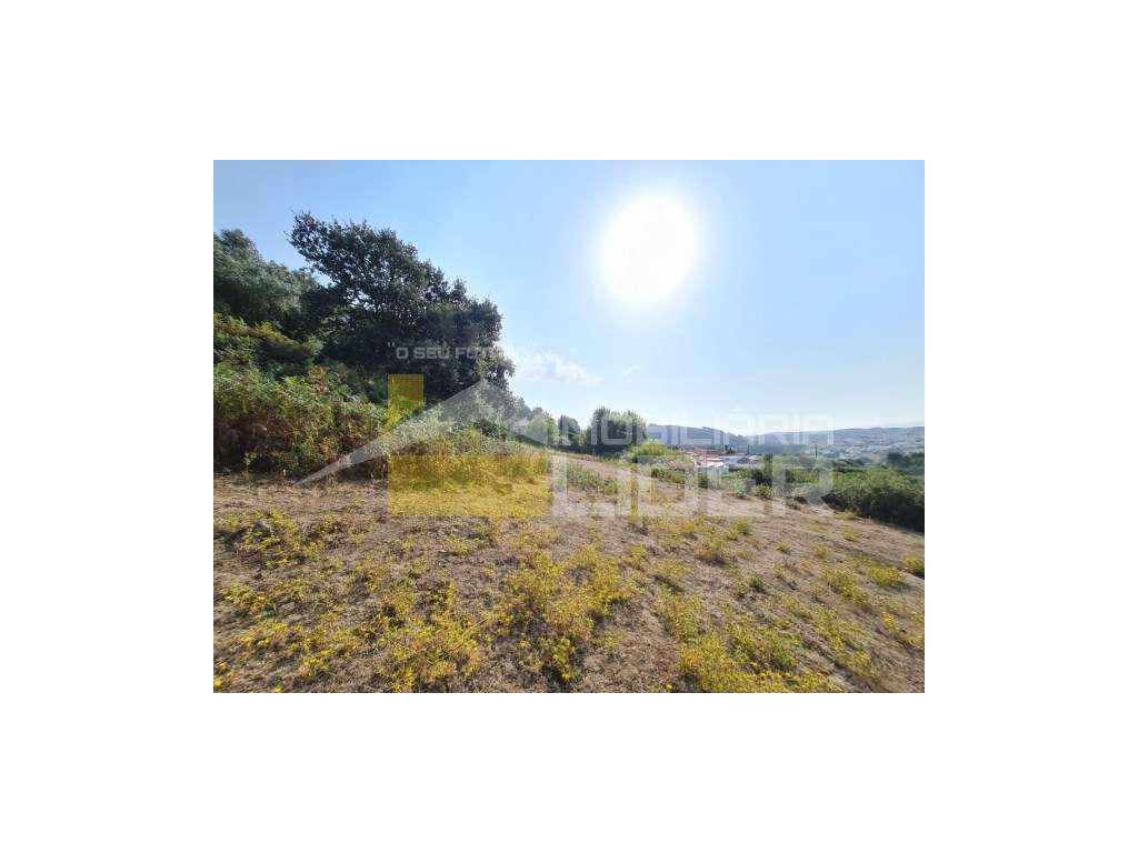 Ruína inserida em terreno urbano com 110m2 +2 parcelas de terreno R...-13