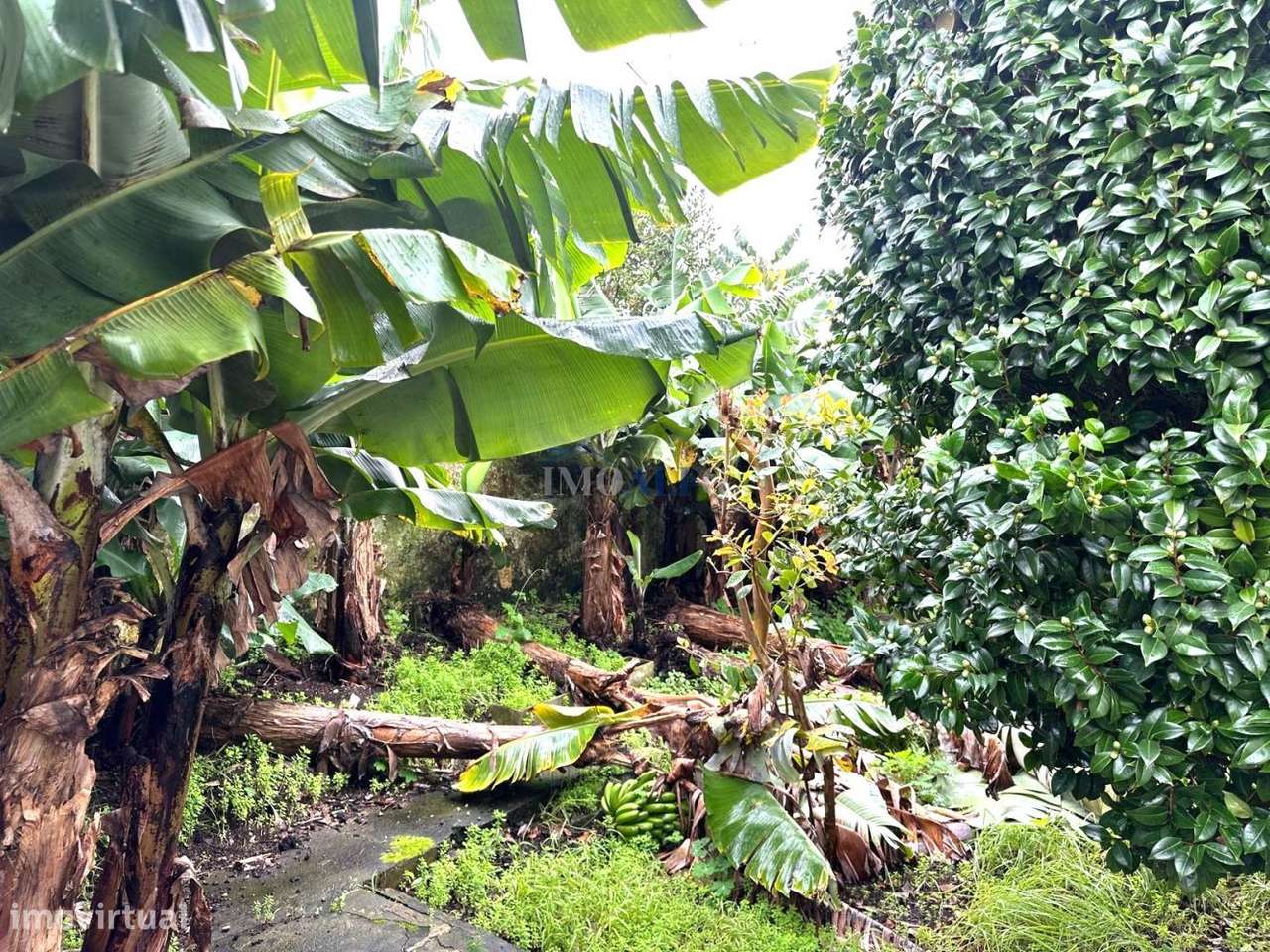 Moradia T4 em Santa Luzia- Angra Heroísmo com vista mar - Grande imagem: 5/39