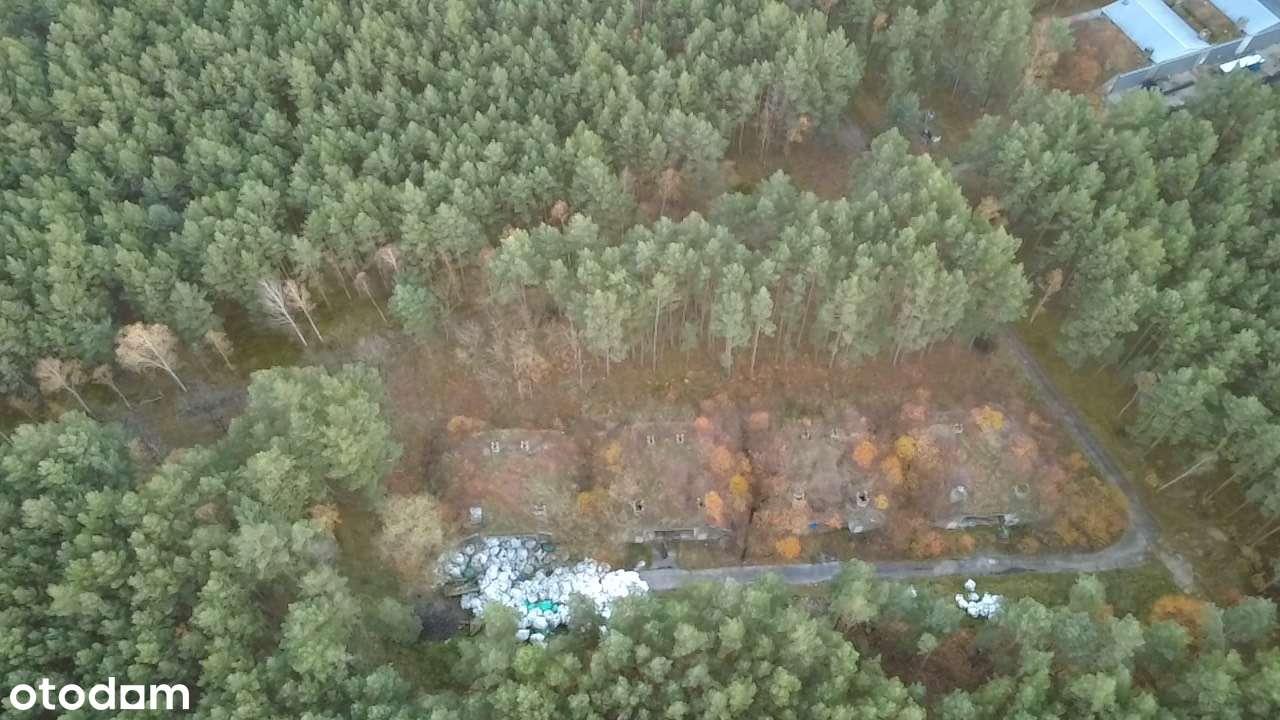 Działka inwestycyjna 1,666 ha - Brożek, Lubuskie-14