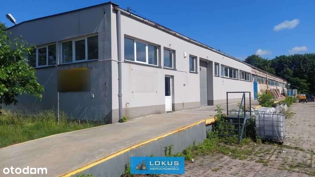 Hala magazynowo-produkcyjna z rampą-0