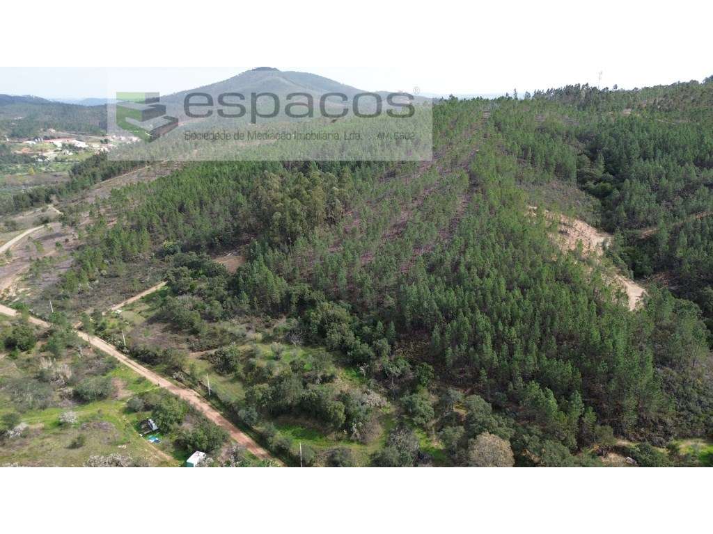 Terreno Rústico Venda Castelo Branco - Grande imagem: 3/10