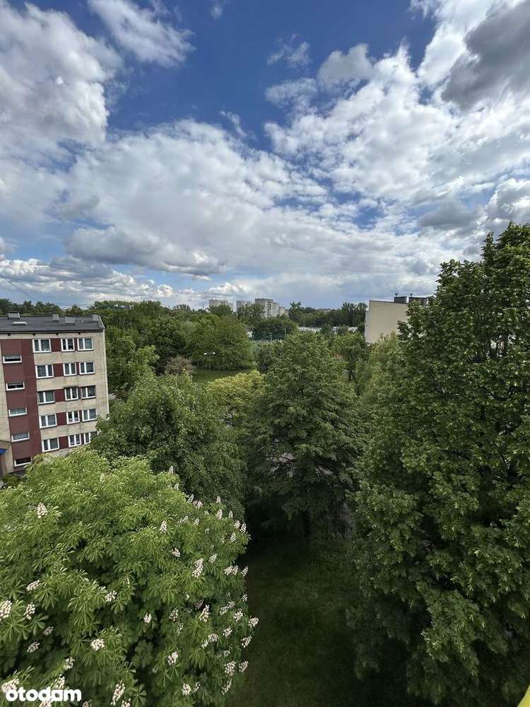 Mieszkanie 3 pokoje Karpacka Świętochłowice 49,70 m2-4