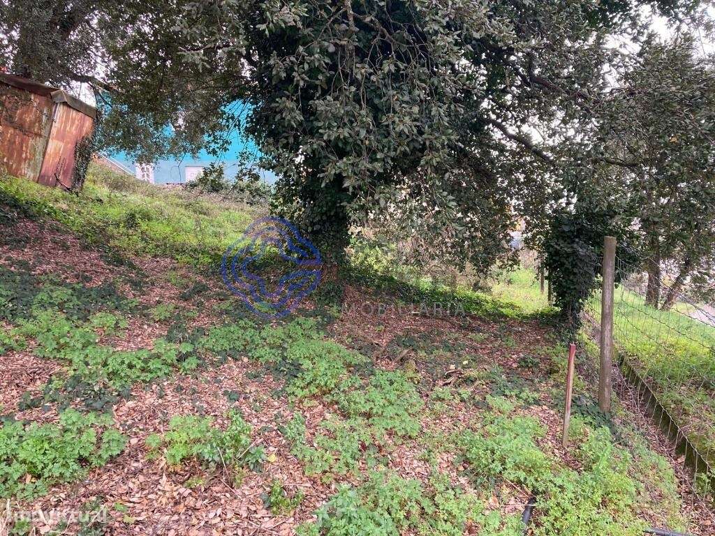 TERRENO PARA CONSTRUÇÃO EM ALFENA - Grande imagem: 2/16