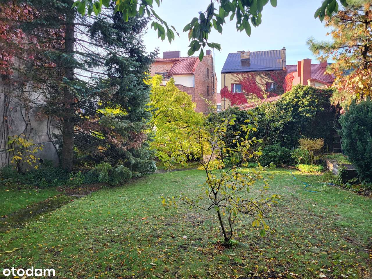 Dom ścisłe centrum! z dochodowym lokalem! budynkiem gosp. i parkingiem - Pełny obrazek: 5/6