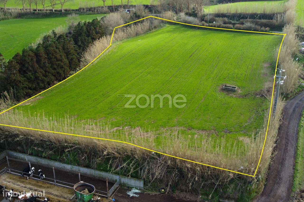 Terreno Rústico com Vista Panorâmica nos Mosteiros - Grande imagem: 5/16