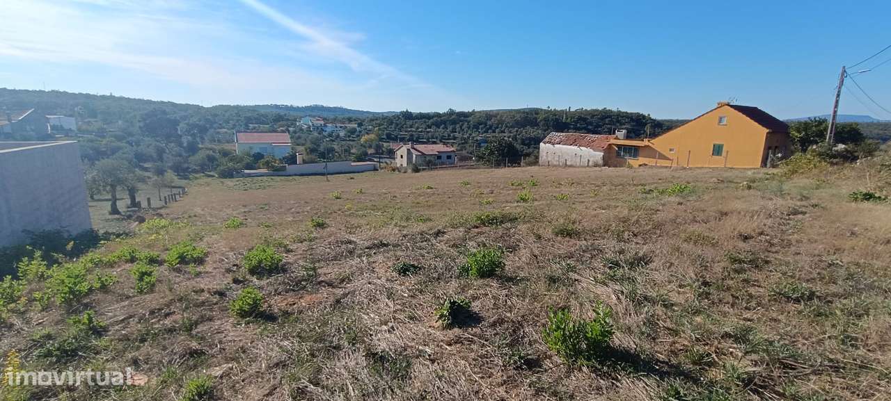 Terreno rústico com 3.700 m² – A 7 km de Tomar-4
