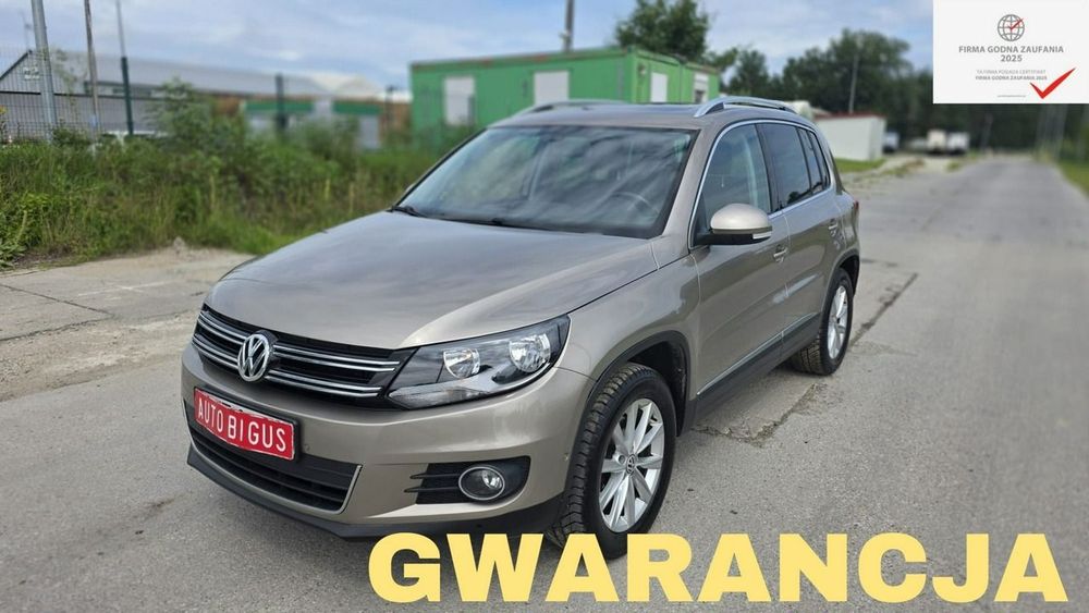 Volkswagen Tiguan I (2007-2016) 2013