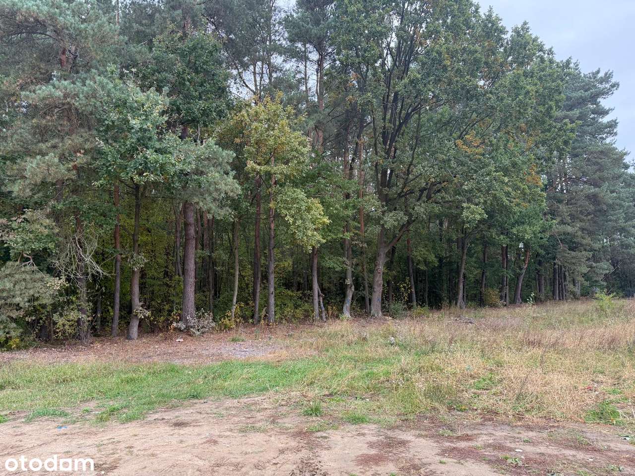 Działka Serock Marynino ulica Cedrowa-3