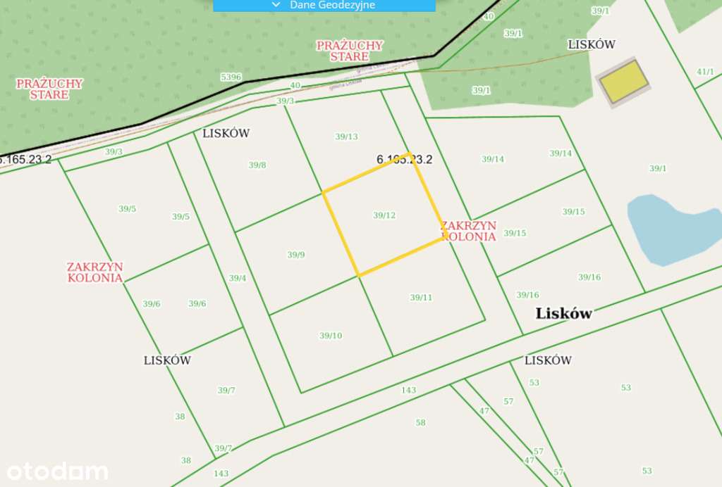 Działka budowlana pod lasem - Zakrzyn Kolonia - Pełny obrazek: 4/20