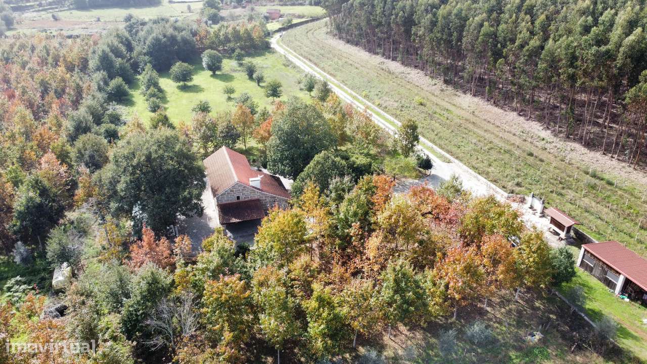 Moradia, 140 m², Molelos-57
