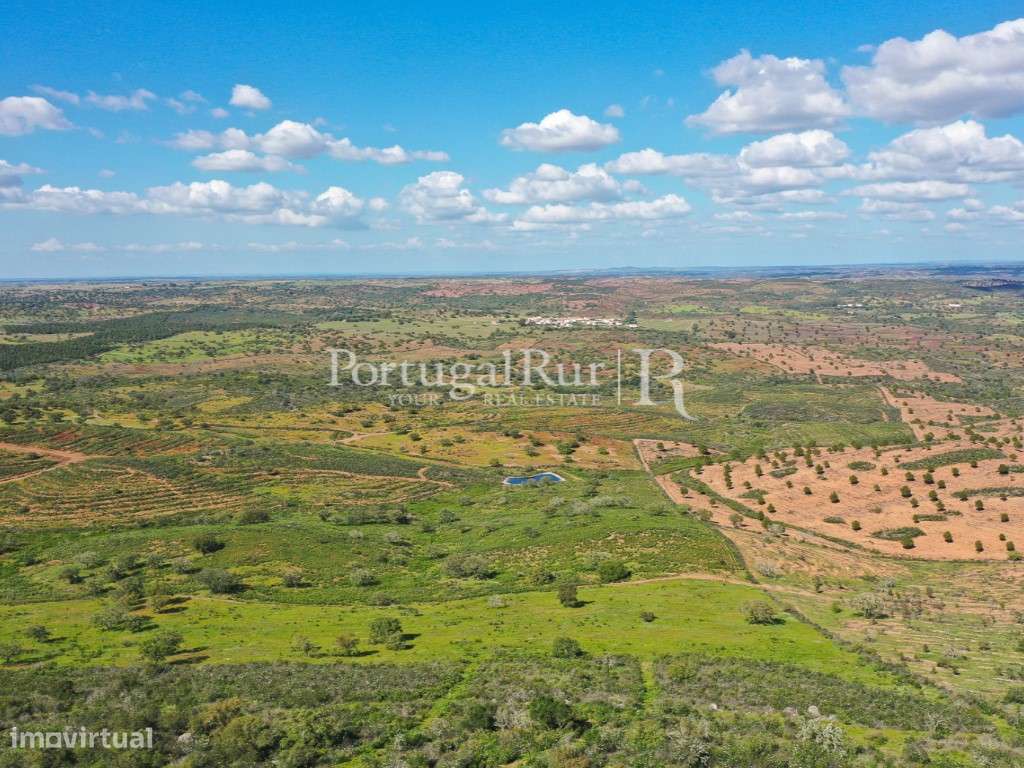 Herdades de Caça com 1300 Hectares, junto do rio Guadiana-59