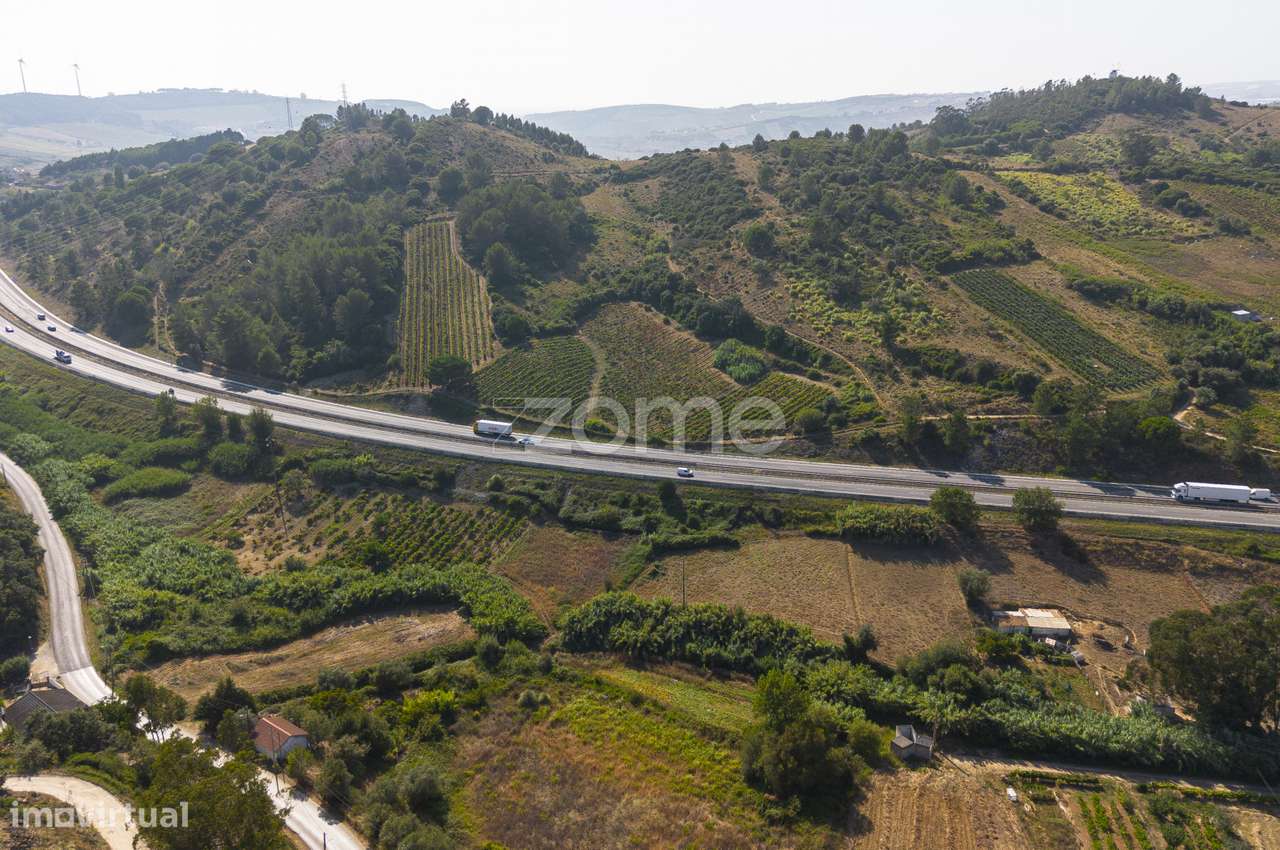 Propriedade vinícola em Torres Vedras - Grande imagem: 2/25