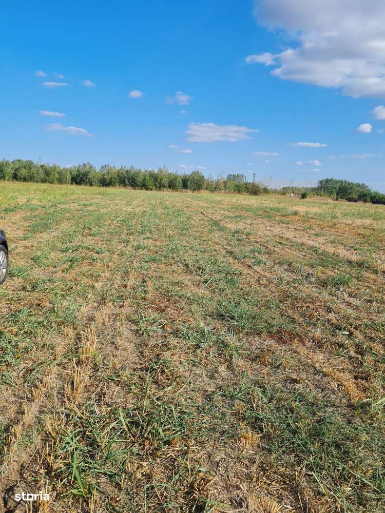 Teren intravilan Magurele - Imagine principală: 1/1