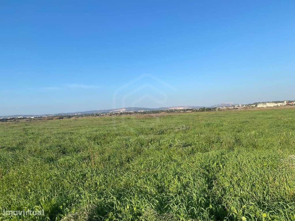 Terreno Rústico perto de Vilamoura, Algarve - Grande imagem: 4/19