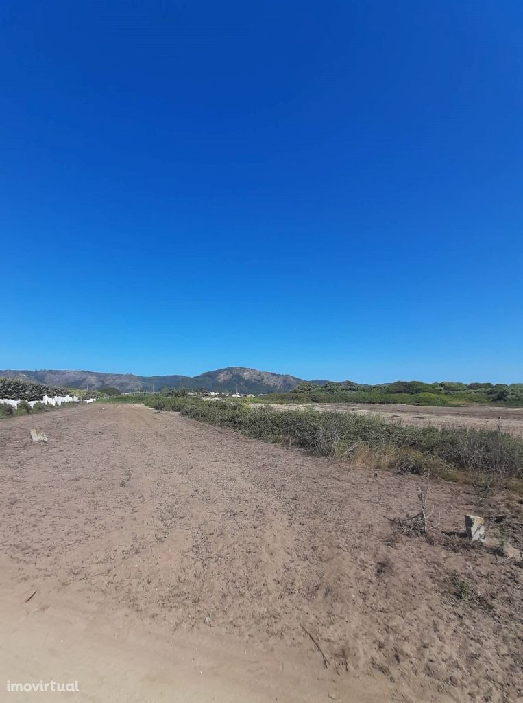 Terreno agrícola em Belinho