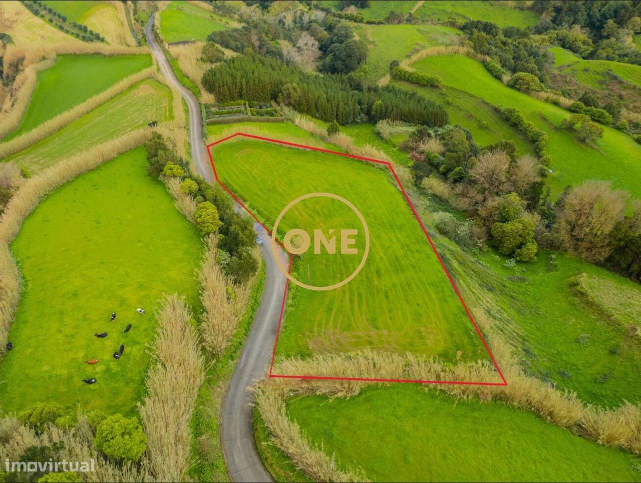 Terreno no Porto Formoso - Grande imagem: 5/10