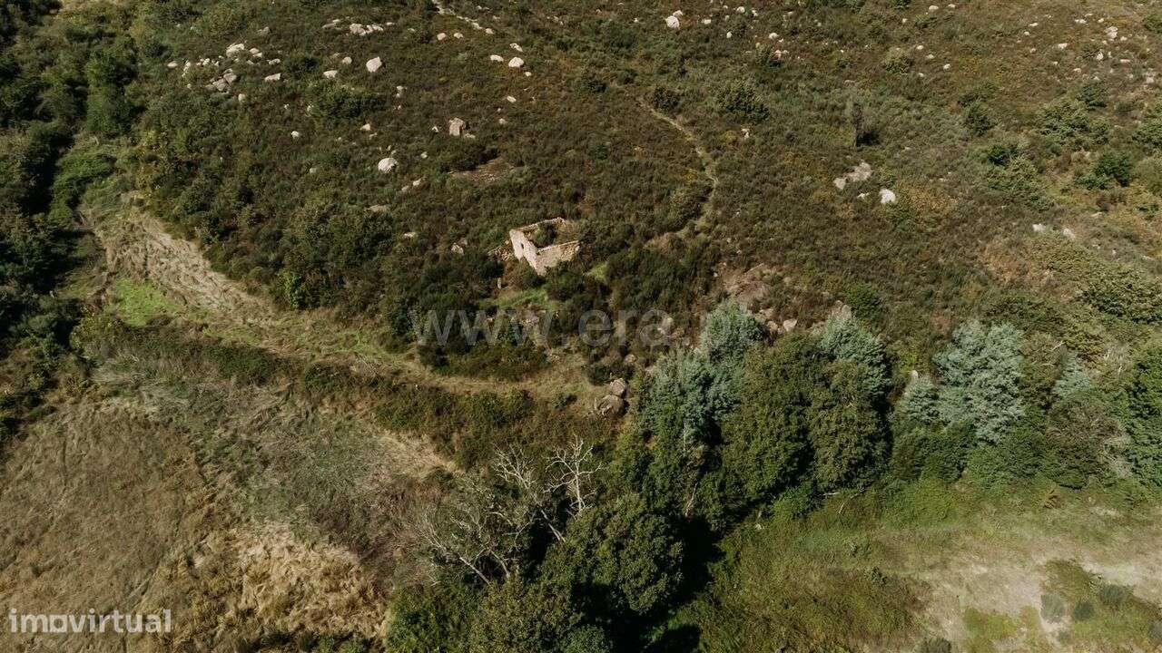 Quinta / Seia, Paranhos - Grande imagem: 3/8