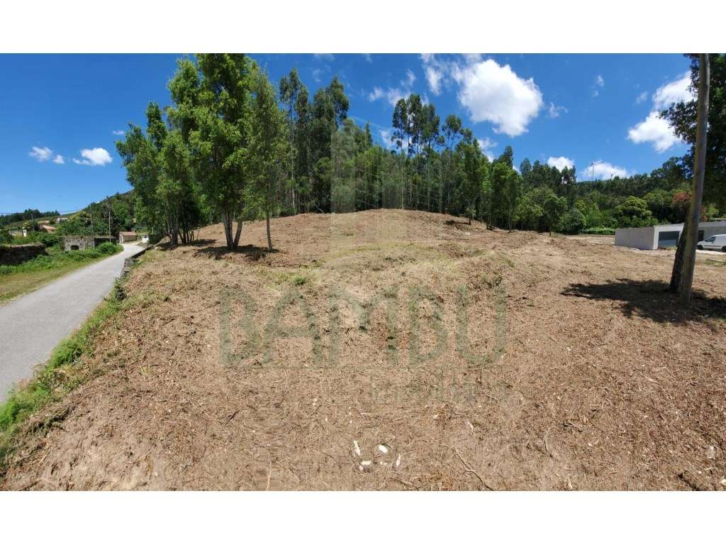 Terreno para venda - Grande imagem: 4/8