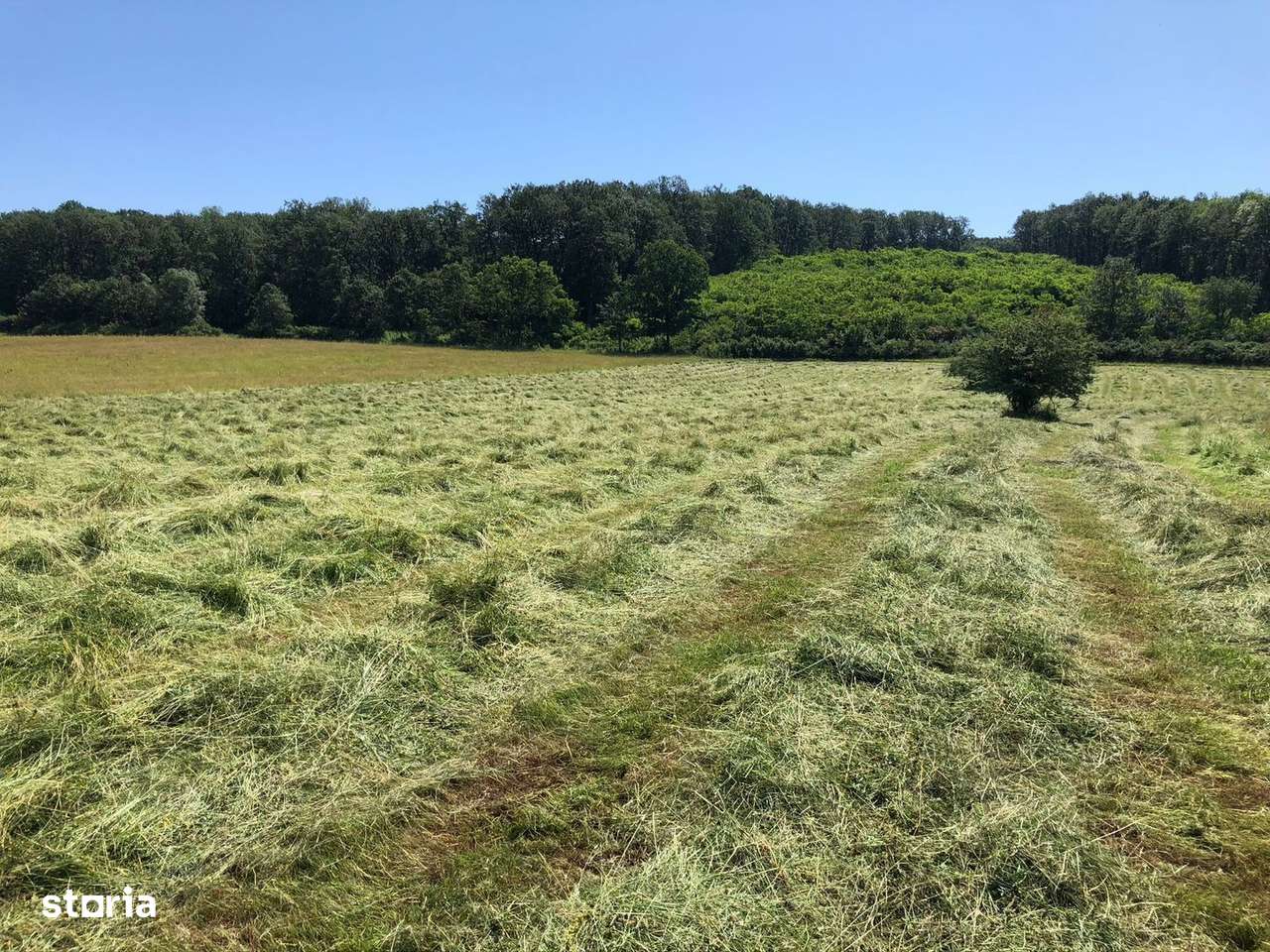 Teren arabil de 630 hectare în Galați - Imagine principală: 2/3