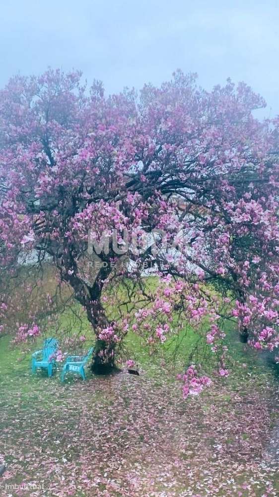 Casarão no coração da cidade de Ovar-41