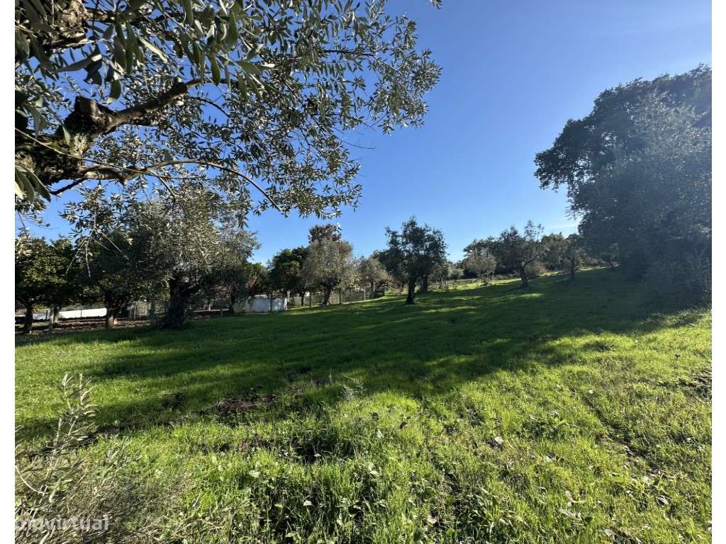 Terreno para construção urbana - Grande imagem: 5/21