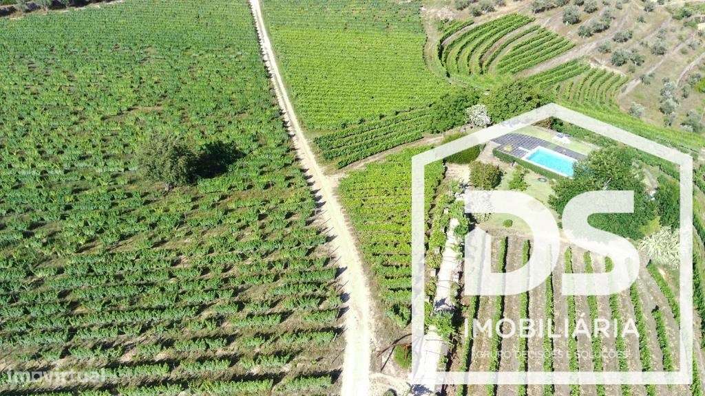 Douro Vinhateiro, Quinta Turística-29