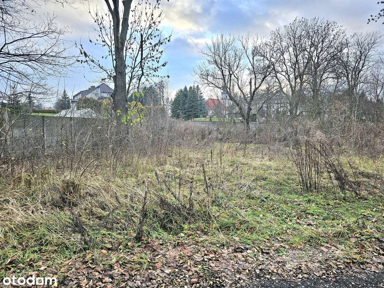 Działka budowlana, Morasko, ul. Okolewo - Pełny obrazek: 5/5