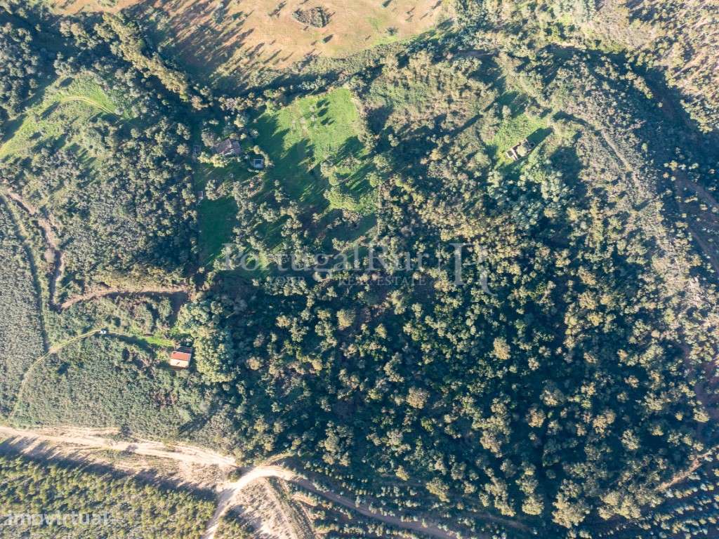 10 hectares e 6 montes isolados, em Serra d' Ossa - Estremoz - Grande imagem: 4/32