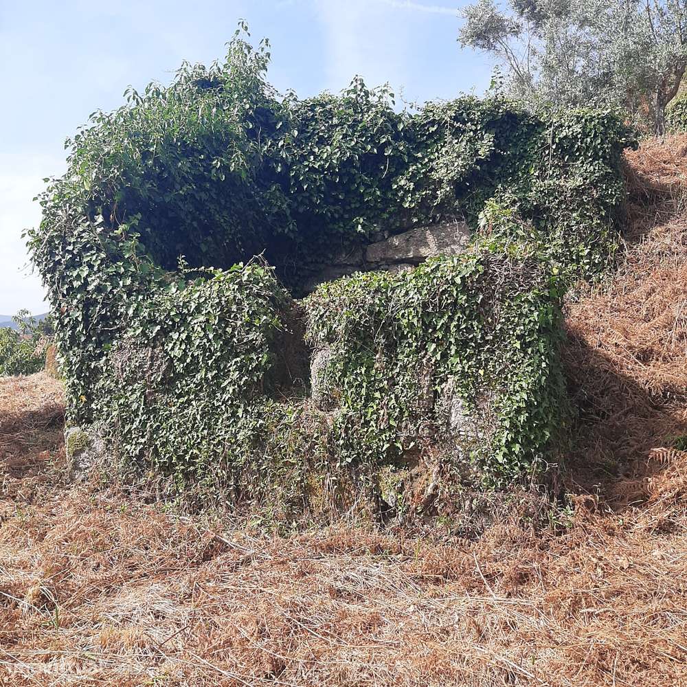 Casa em pedra para reconstruir Canelas Penafiel - Grande imagem: 5/44