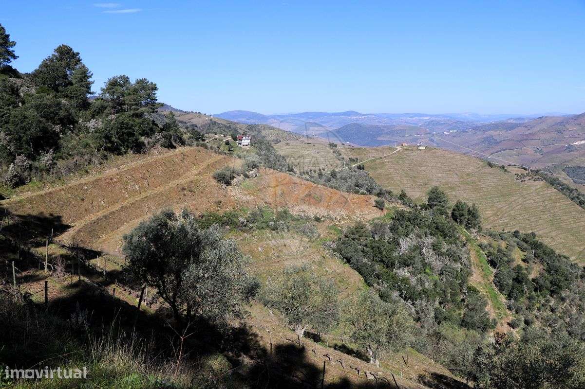 Quinta  para venda - Grande imagem: 3/50