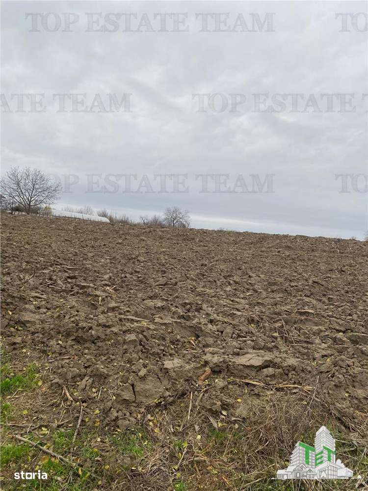 Teren 12223 mp in Prahova-2