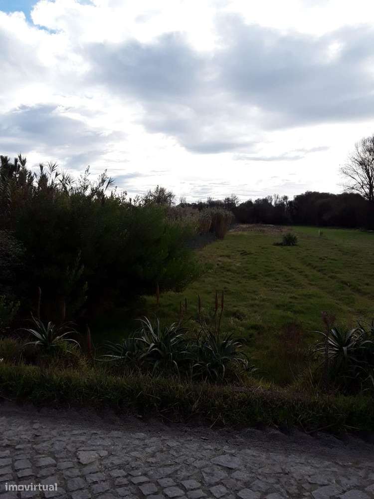 Terreno em Apúlia - Grande imagem: 3/6