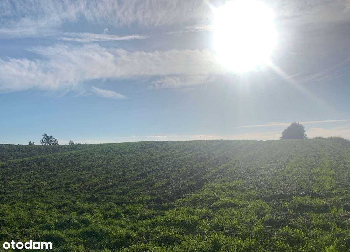 Działka budowlana Medyny, Warmińska, z decyzją o warunkach zabudowy-0