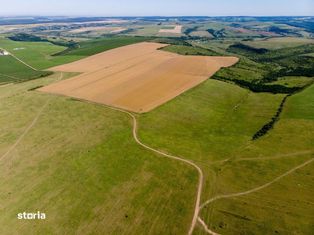 Teren arabil de 138.57 hectare în Unteni