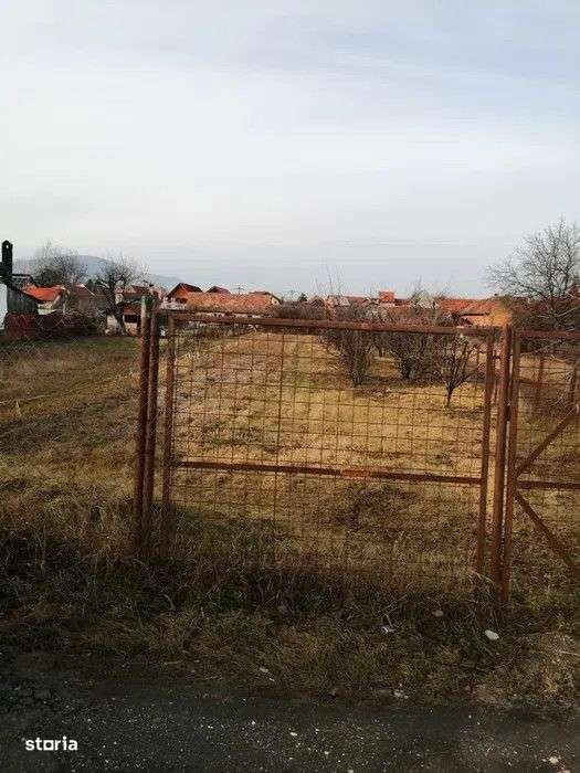 Teren 934 mp Ghimbav - Imagine principală: 2/6