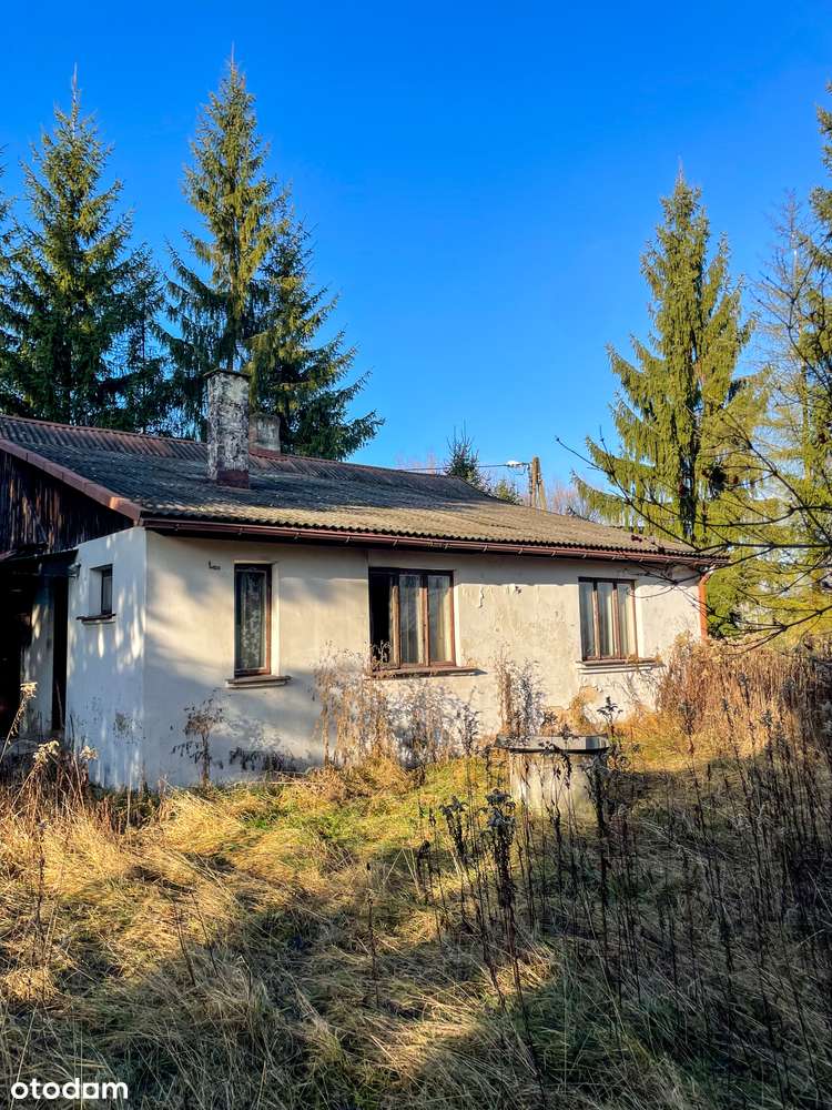 46 ar przy obwodnicy – duża działka z zabudową i mediami | Sobów - Pełny obrazek: 5/15