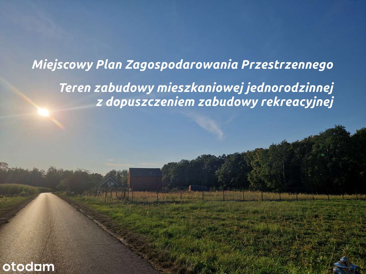Unikatowa działka przy leśnej skarpie w ekologicznym ciąglu zieleni - Pełny obrazek: 5/8