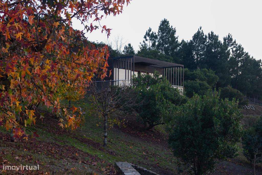 Empreendimento turístico - Aldeia do Furtado-23