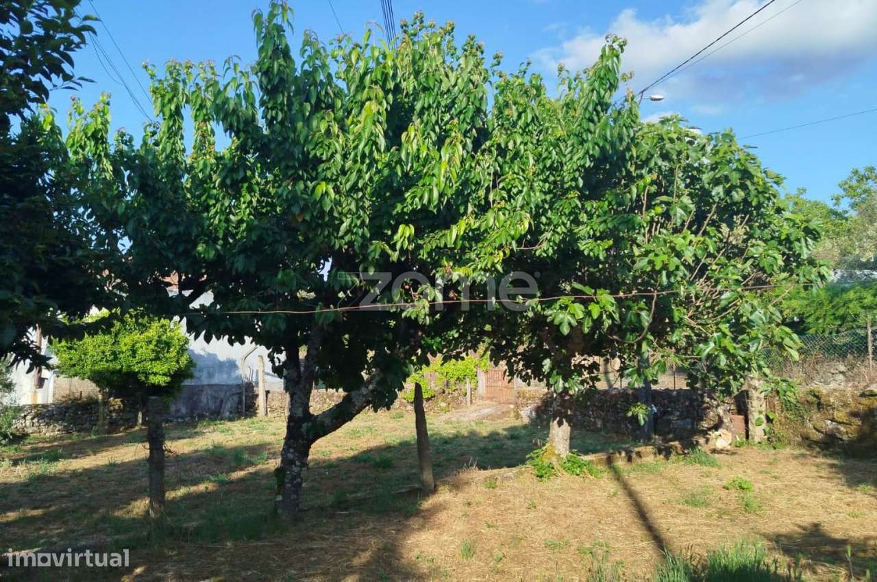 Moradia em Pedra com quintal em Matados, a 5 minutos Mangualde-22