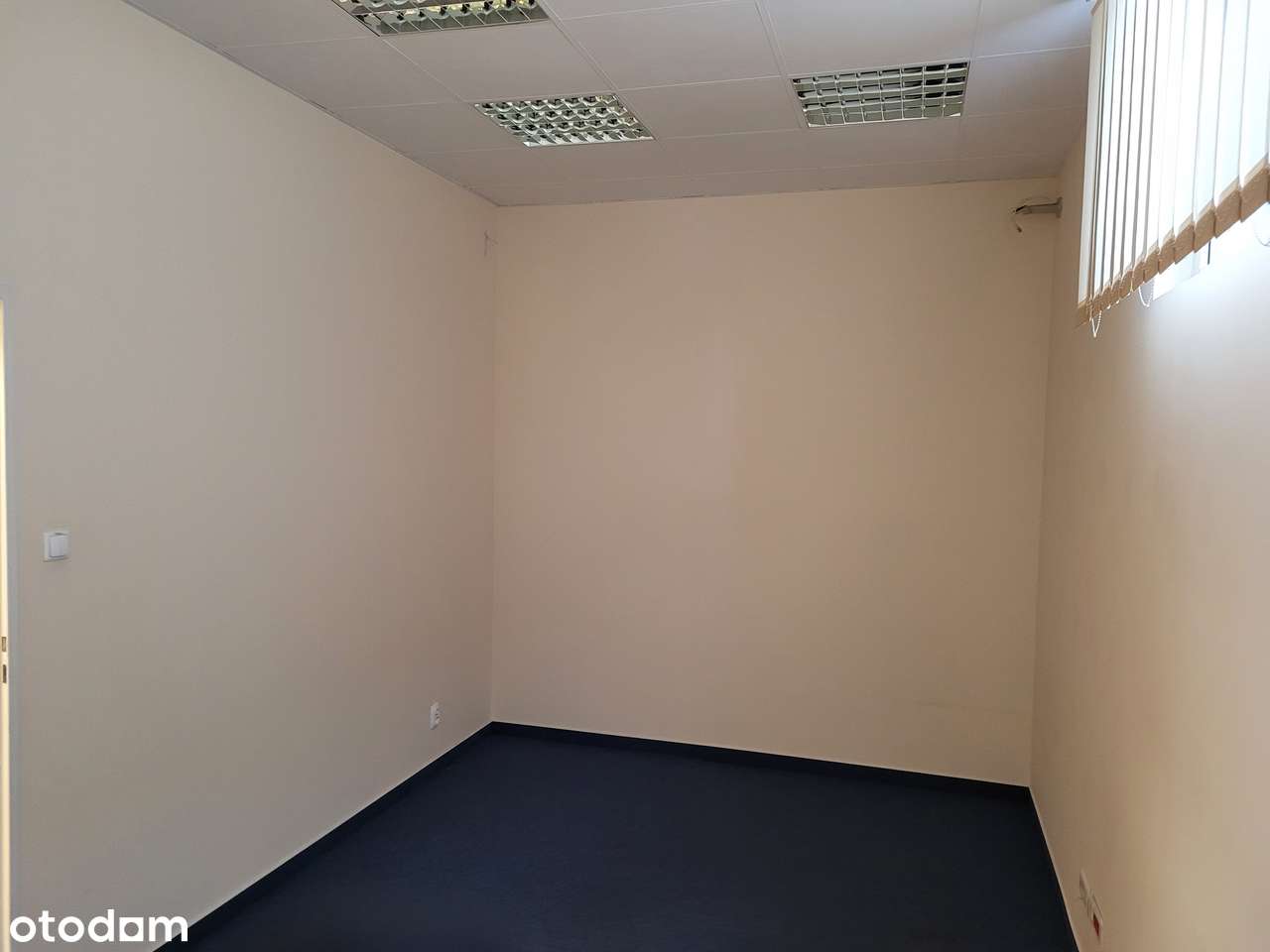 Lokal 171 m2 w centrum Skarżyska k/dworca PKP obok ALDI - Pełny obrazek: 4/8